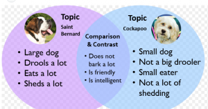 A Full guide on Contrast and Comparison Essay a venn diagram