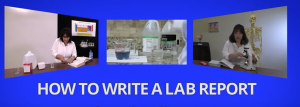 How to compose a laboratory essay